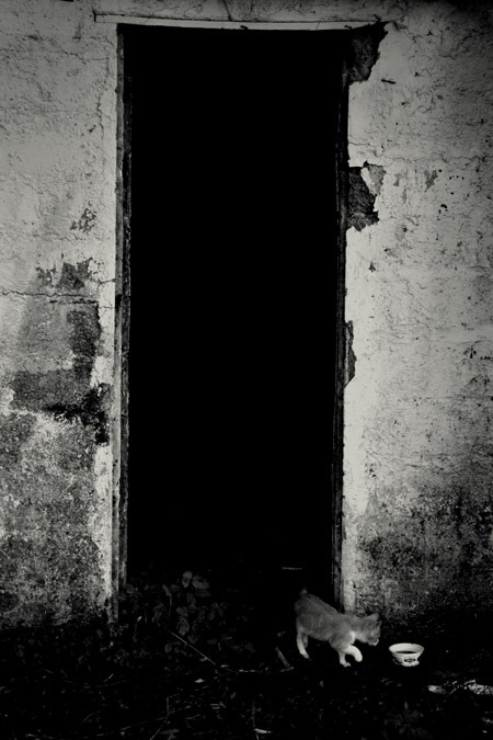Archillect ID 42397