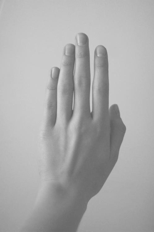 Archillect ID 42405