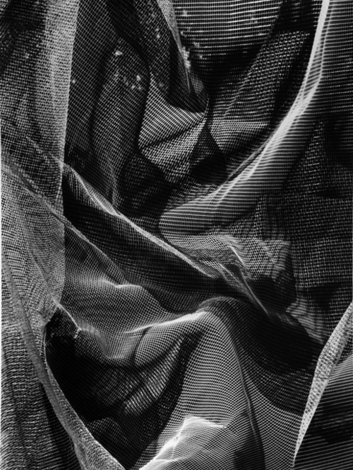 Archillect ID 42450