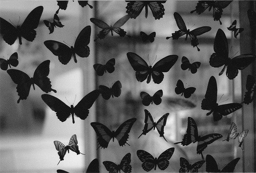 Archillect ID 42468