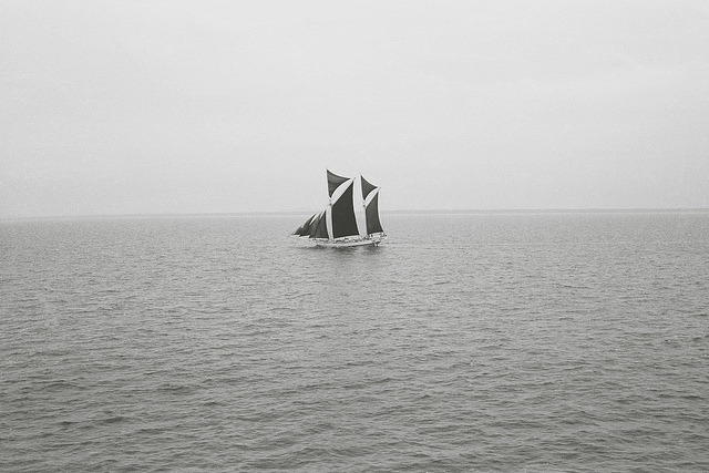 Archillect ID 42524