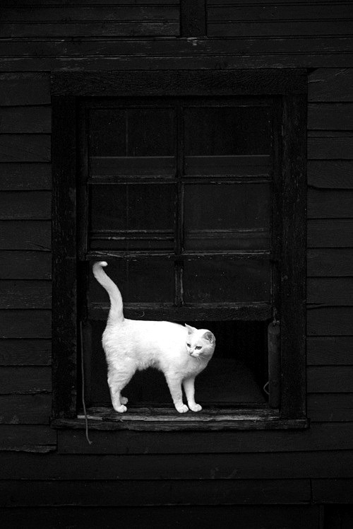 Archillect ID 42535