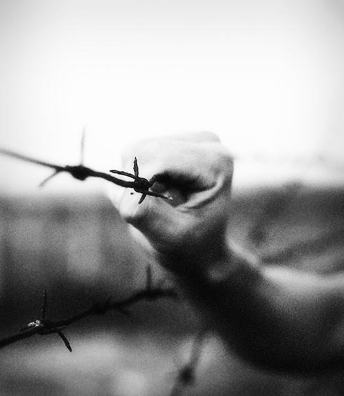 Archillect ID 42600
