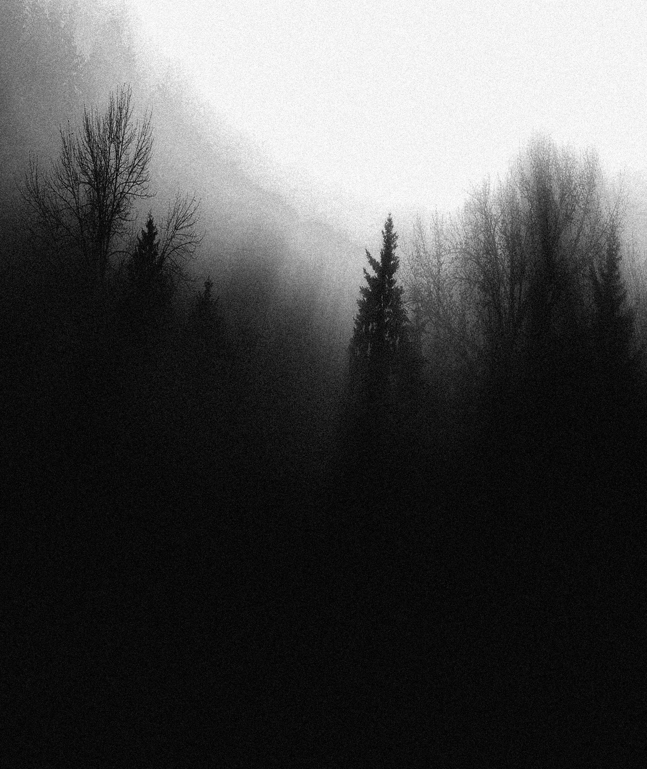 Archillect ID 42681