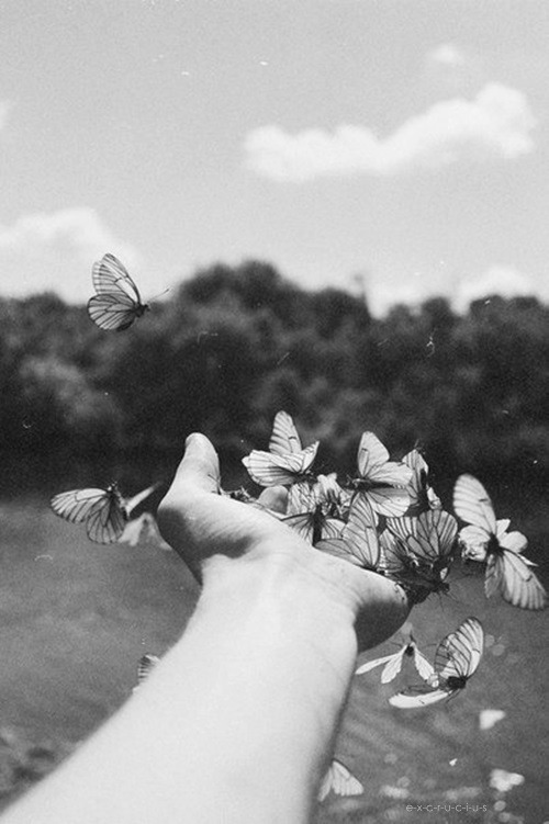 Archillect ID 42687