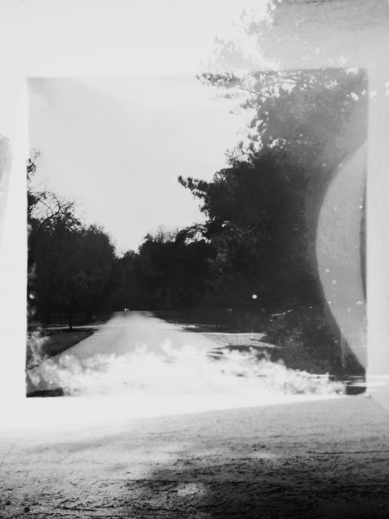 Archillect ID 42836