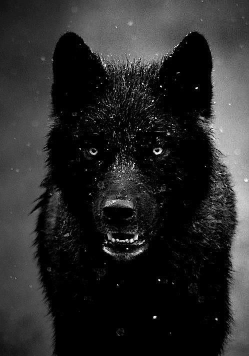 Archillect ID 42938