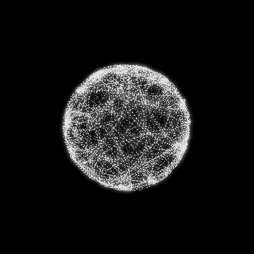 Archillect ID 43006