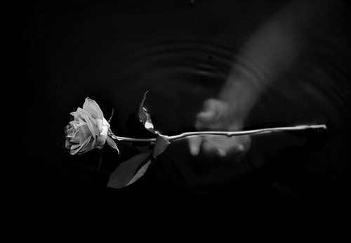 Archillect ID 43011