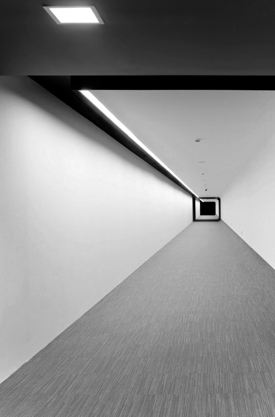 Archillect ID 43044