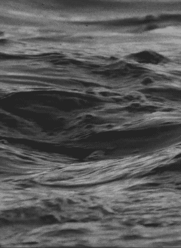 Archillect ID 43049