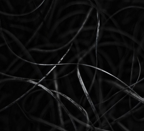 Archillect ID 43069