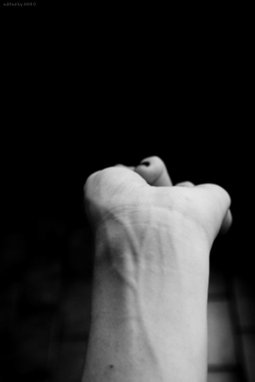 Archillect ID 43088