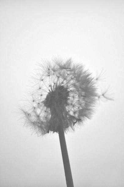 Archillect ID 43142