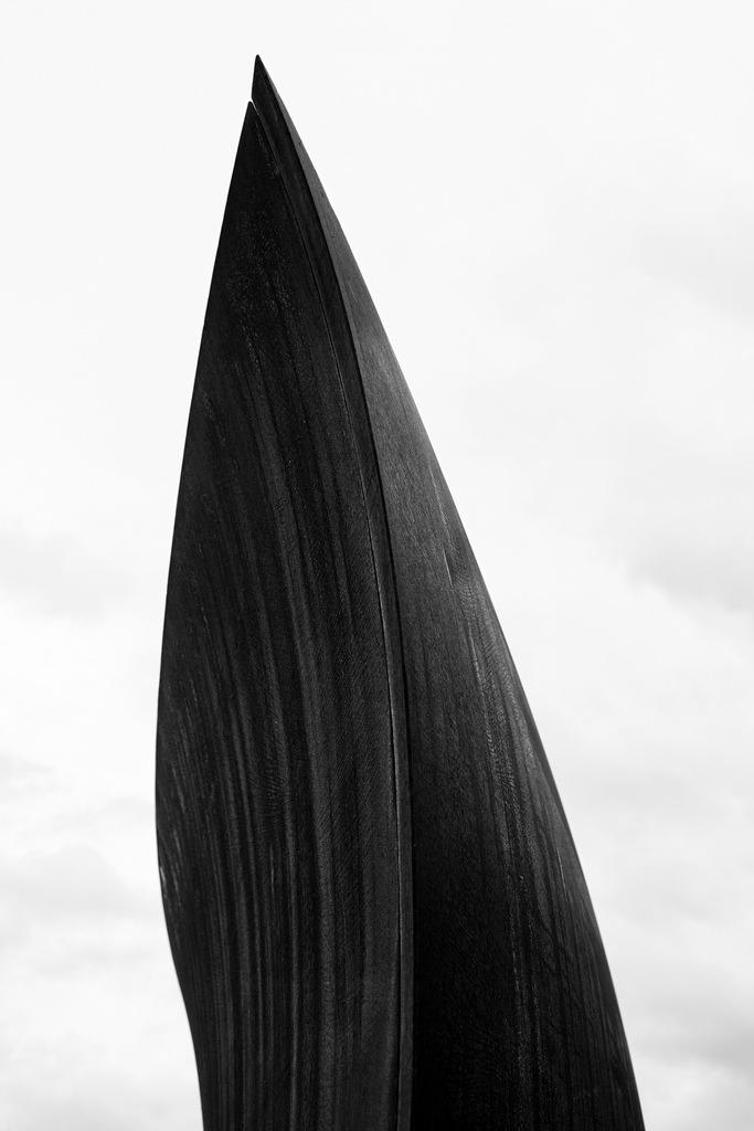 Archillect ID 43144