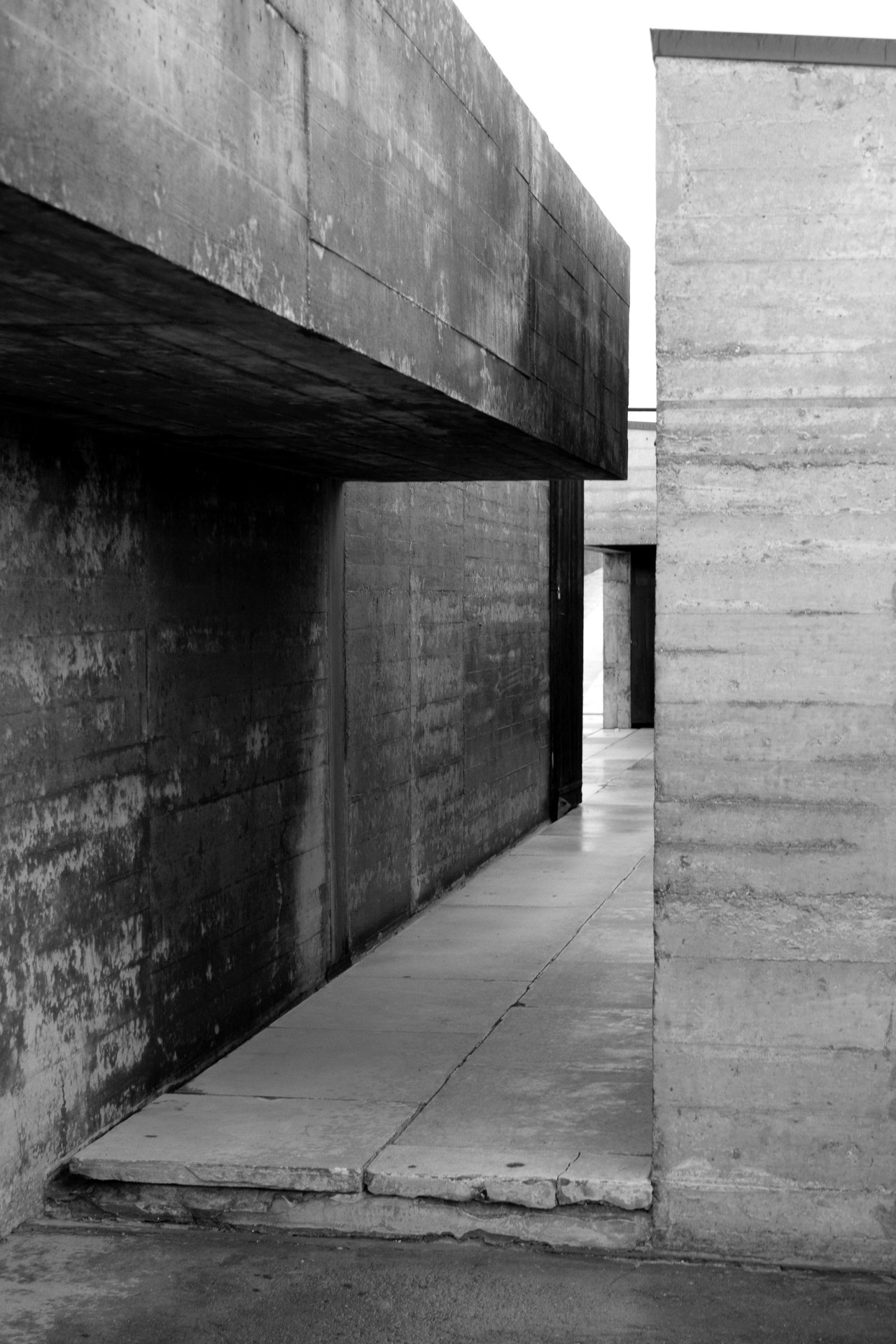 Archillect ID 43161