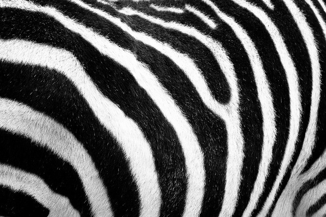 Archillect ID 43198