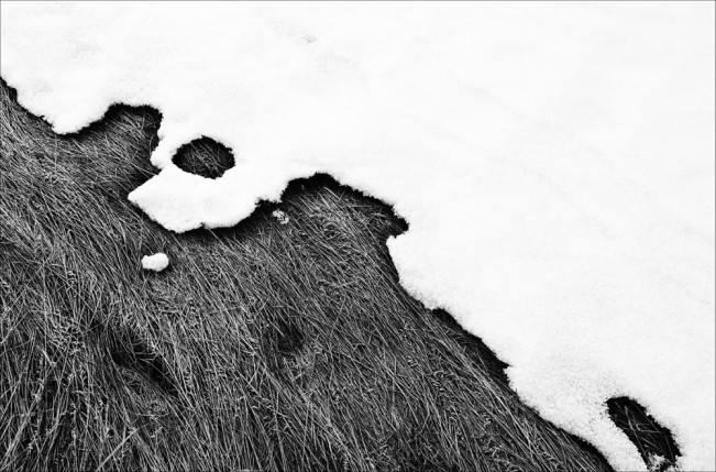 Archillect ID 43199