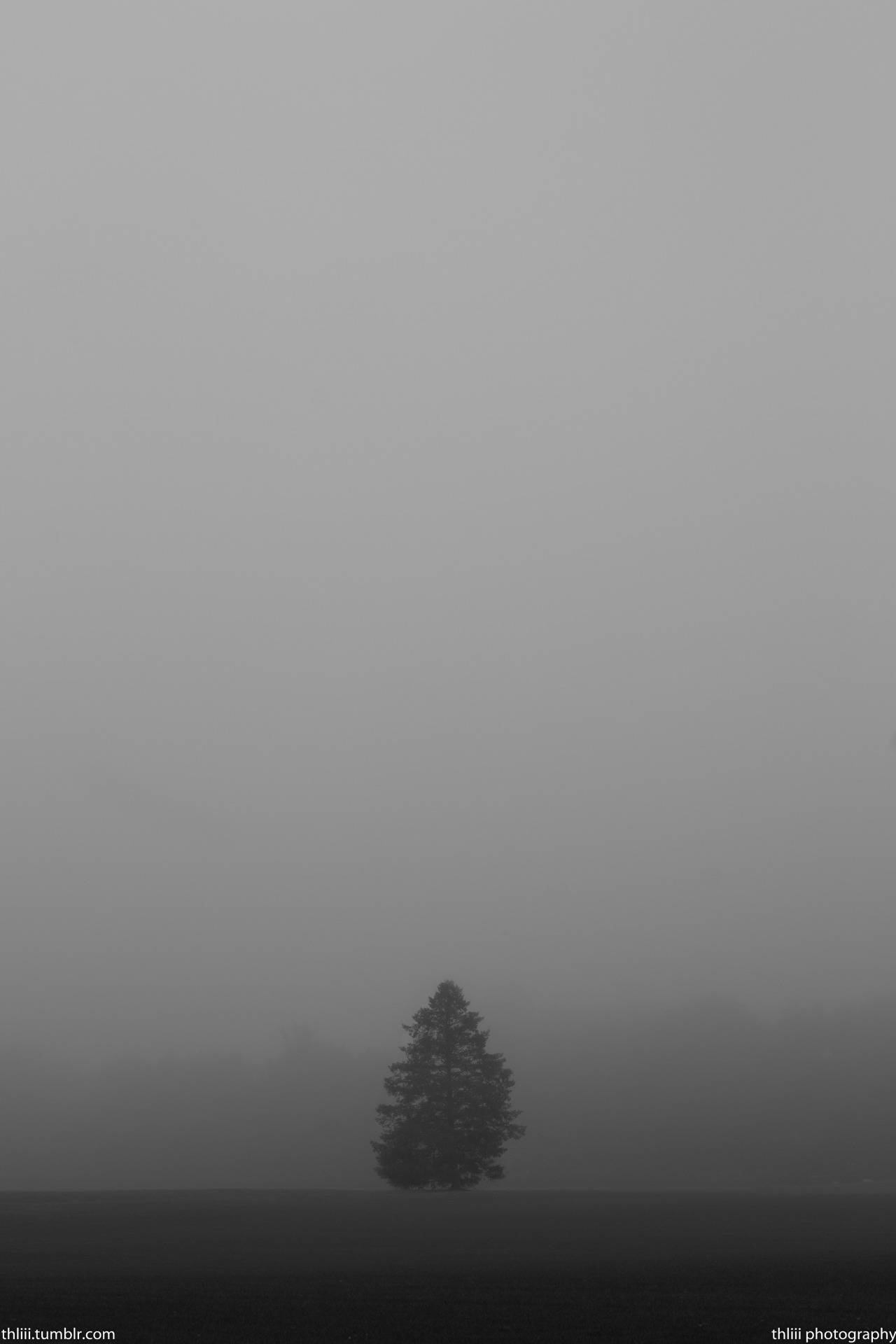 Archillect ID 43264