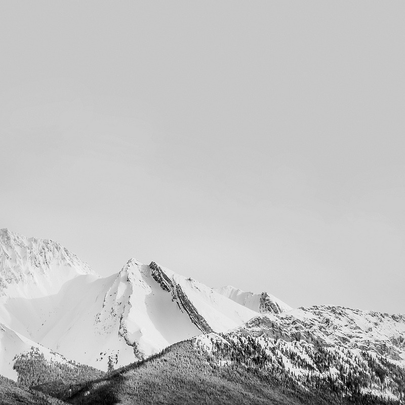 Archillect ID 43288