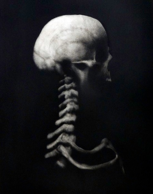 Archillect ID 43304