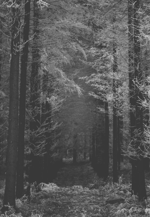 Archillect ID 43313