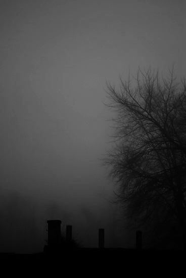 Archillect ID 43360