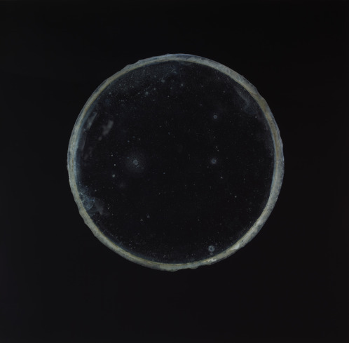 Archillect ID 43420