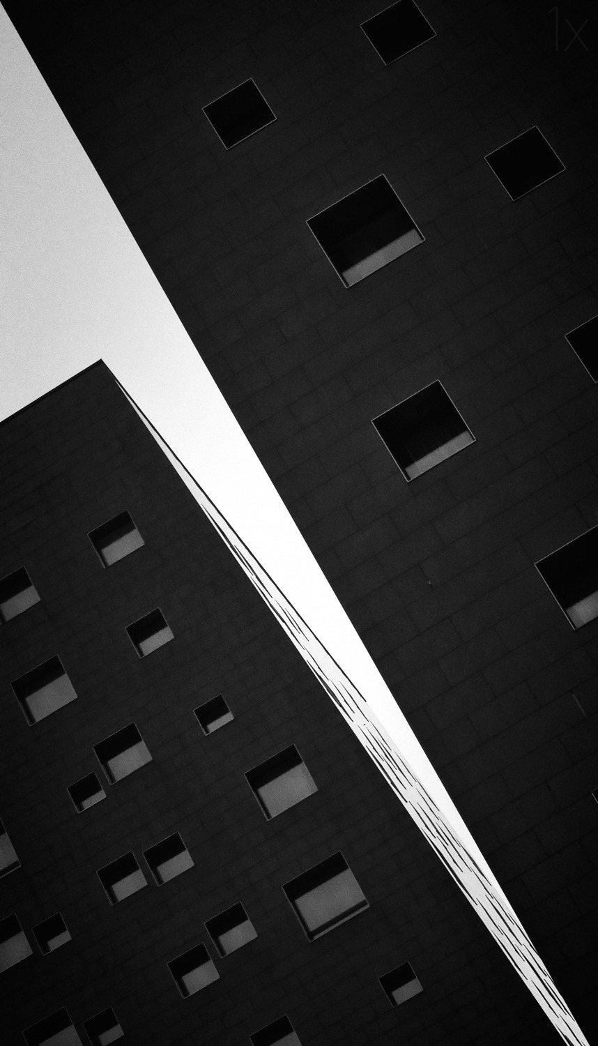 Archillect ID 43531
