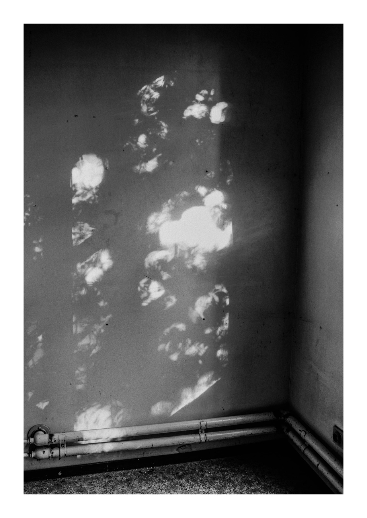 Archillect ID 43535