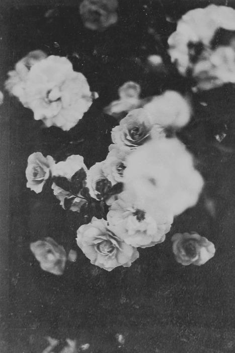 Archillect ID 43618