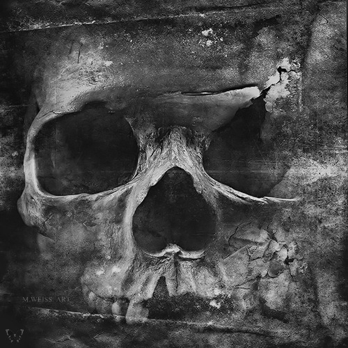 Archillect ID 43809
