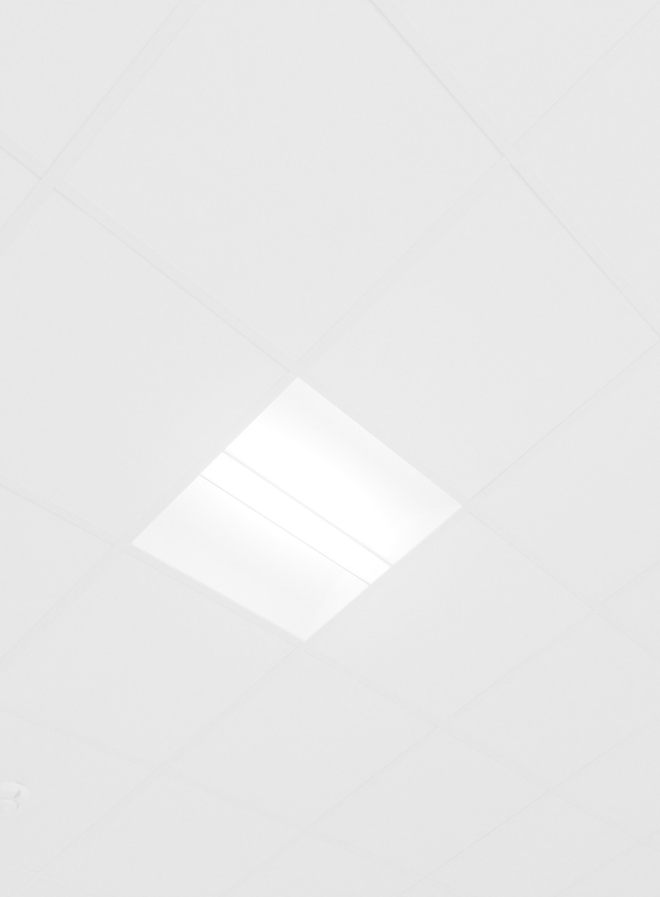 Archillect ID 43920