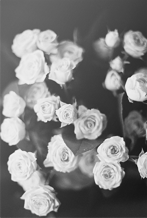 Archillect ID 43943