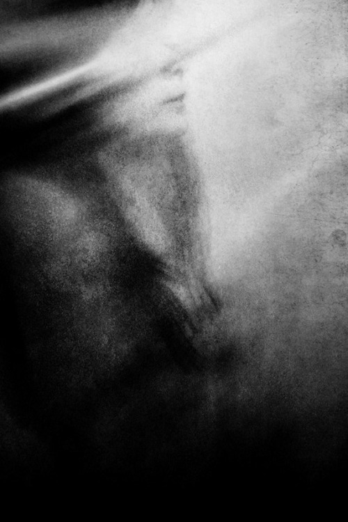 Archillect ID 43963