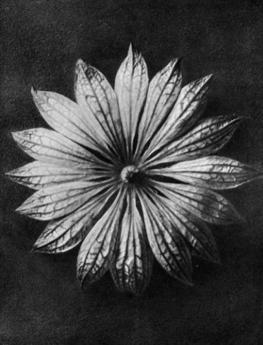 Archillect ID 44029