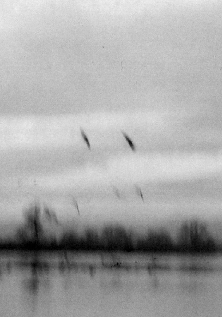 Archillect ID 44050
