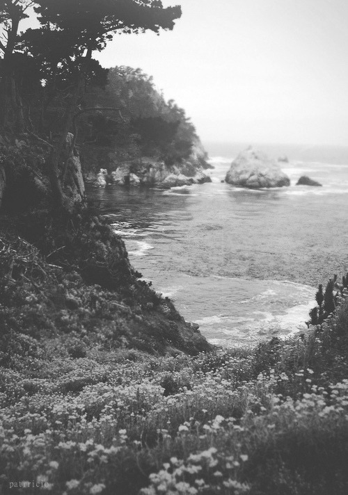 Archillect ID 44102