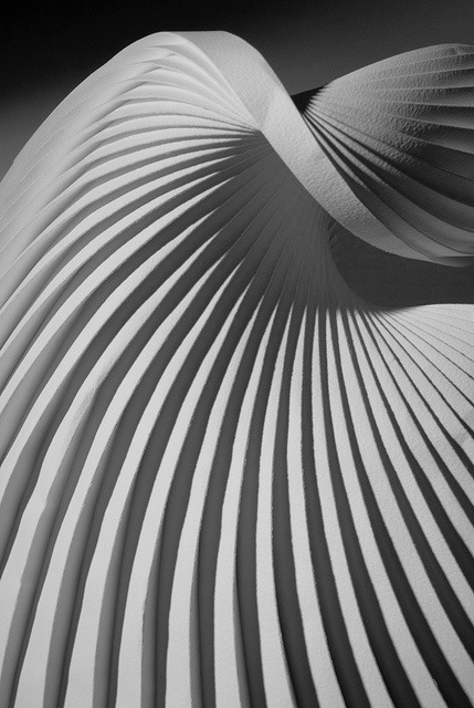 Archillect ID 44342