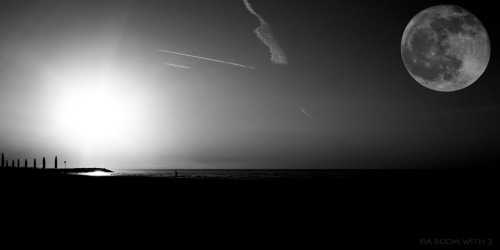 Archillect ID 44429