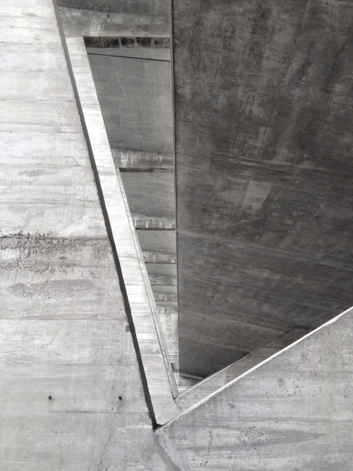 Archillect ID 44445