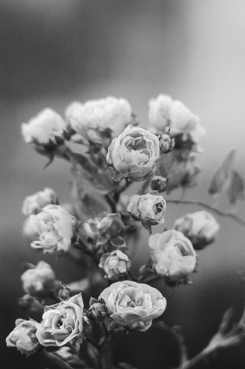 Archillect ID 44478