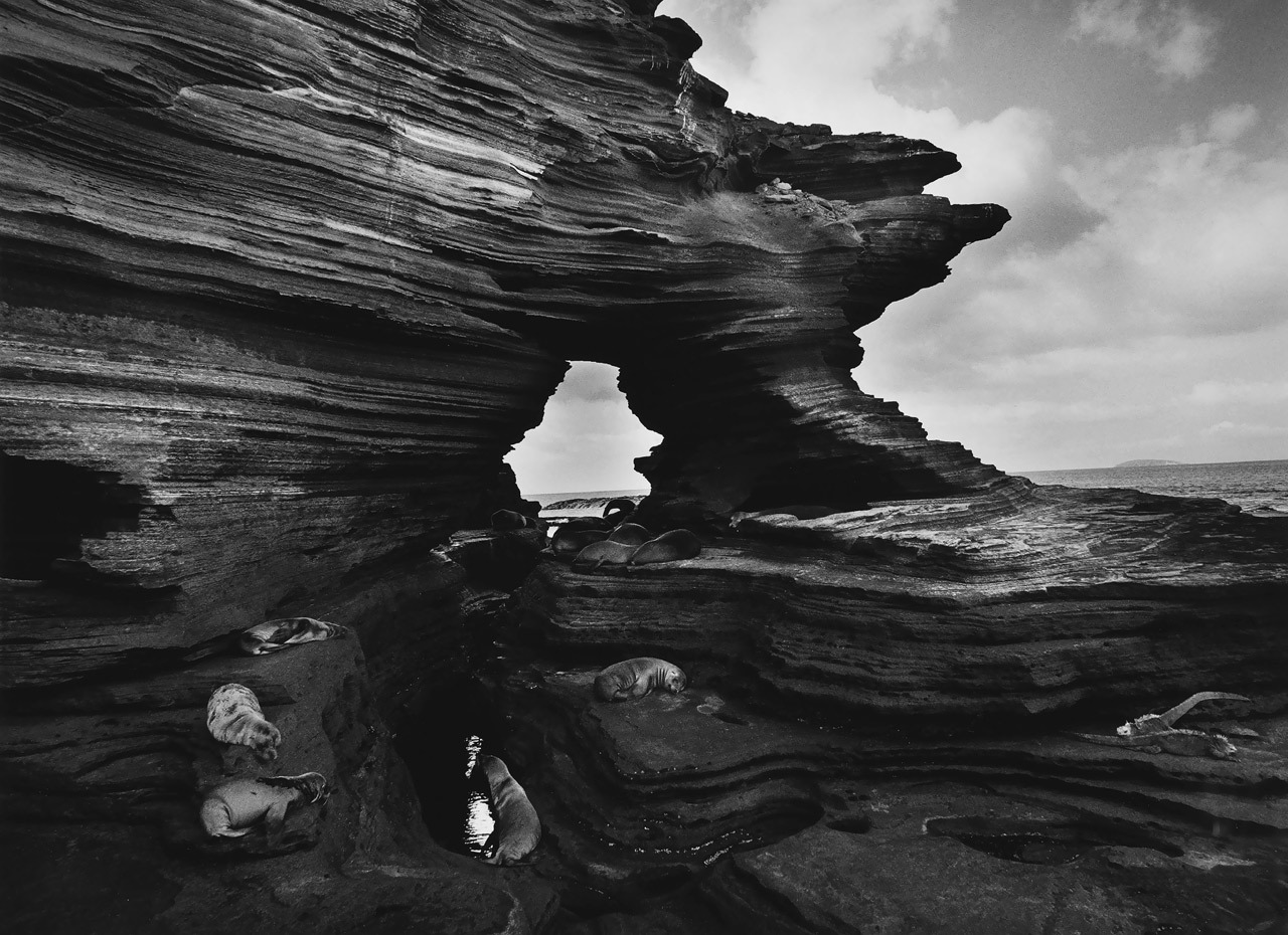 Archillect ID 44531