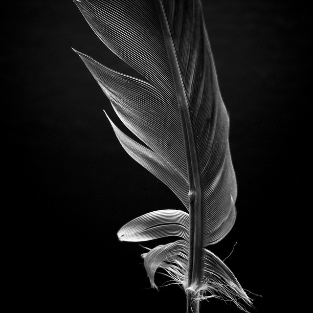 Archillect ID 44582