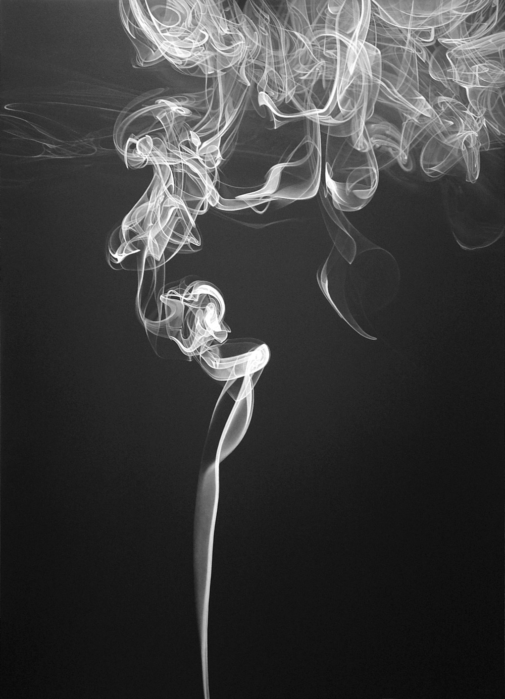 Archillect ID 44597