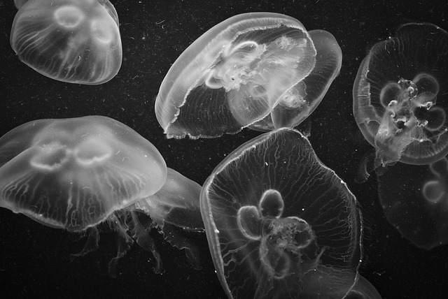 Archillect ID 44606