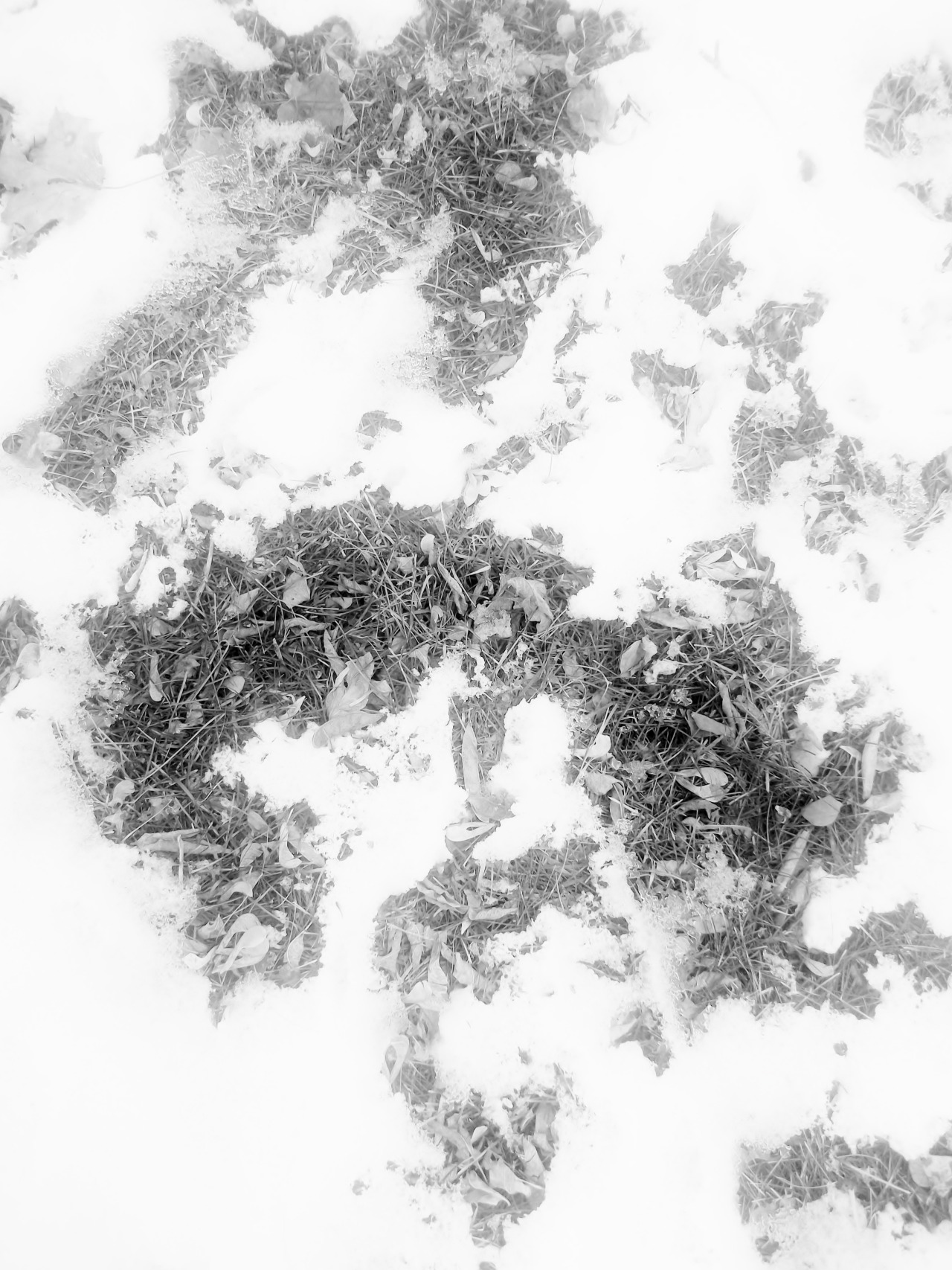 Archillect ID 44715