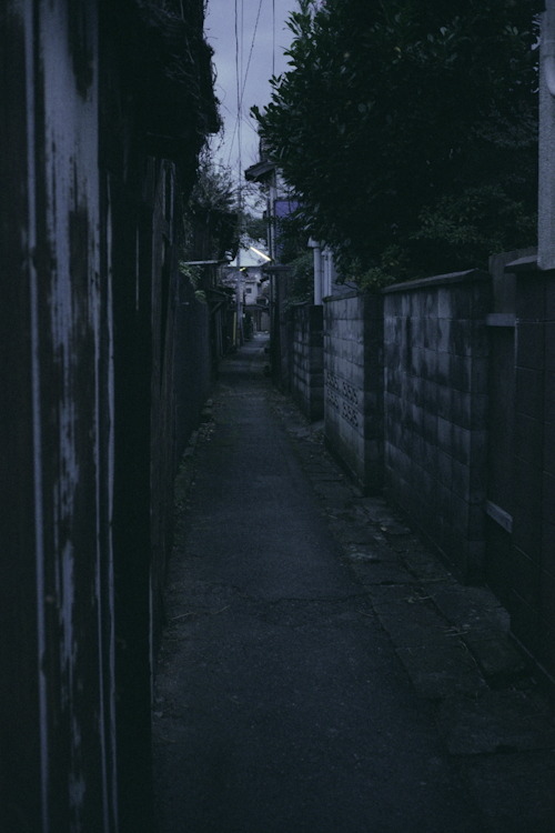 Archillect ID 44787