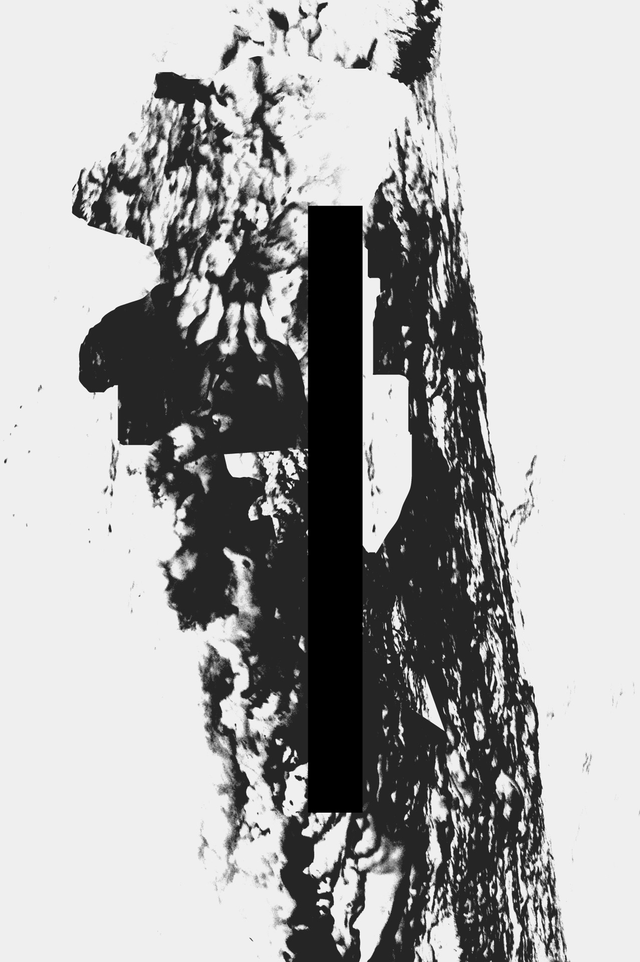 Archillect ID 44851