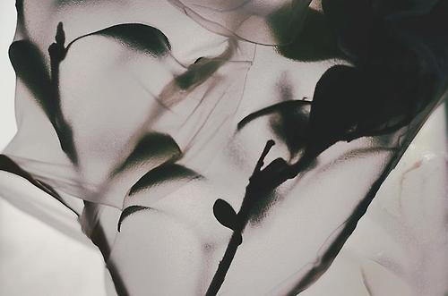 Archillect ID 44881